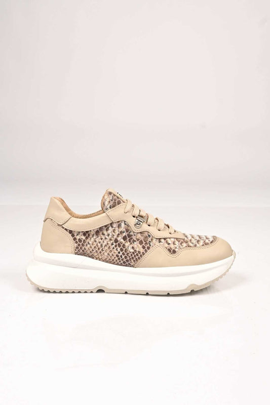 Bestello Lace-Up EVA Sole Genuine Leather Sneakers 101-4406-01 Women's Shoes